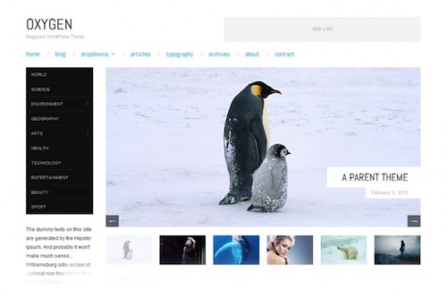 23(g)ѵM(fi)΢WordPress}